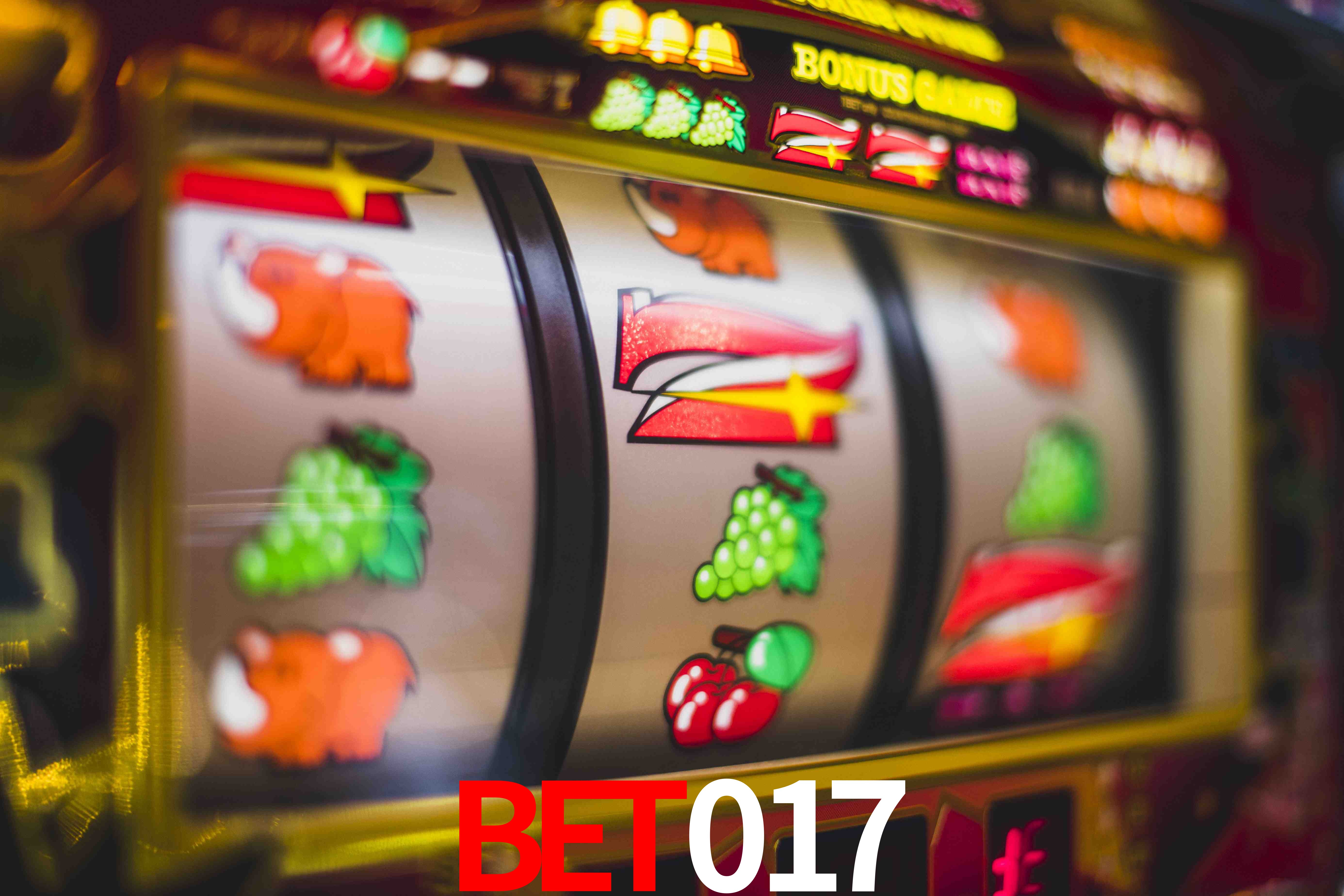 VIP Casino bet017